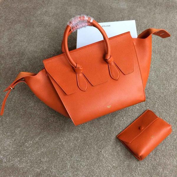 セレブ愛用☆早い者勝ち★CELINE セリーヌスーパーコピー☆TIE MINI★ハンドバッグ 175883TKB20BT
