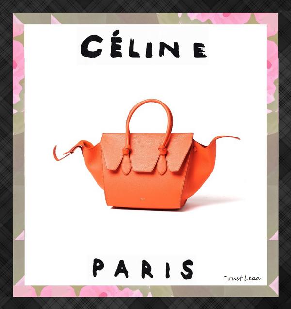 セレブ愛用☆早い者勝ち★CELINE セリーヌスーパーコピー☆TIE MINI★ハンドバッグ 175883TKB20BT